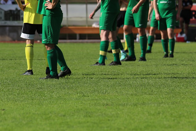 意足协主席：如果我辞职意大利就能拿世界杯，我愿意离开